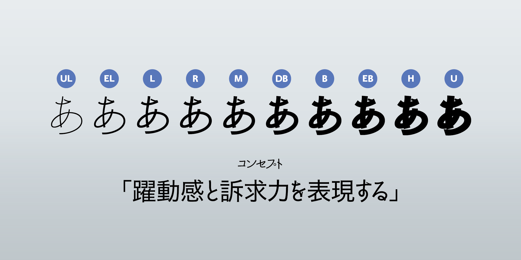 JP_New_Kaku_SeimeiKana-2