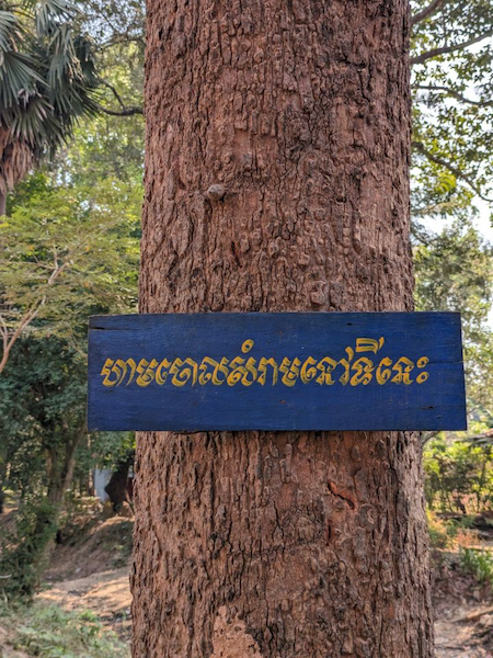 This handwritten sign says “No Littering Here,” posted on a tree. Image: Sovichet Tep of Anagata Type.