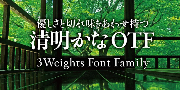 フォントサービス「Monotype Fonts」「MyFonts」「フォントワークス LETS」「FONTPLUS」にREN FONTの92書体を搭載