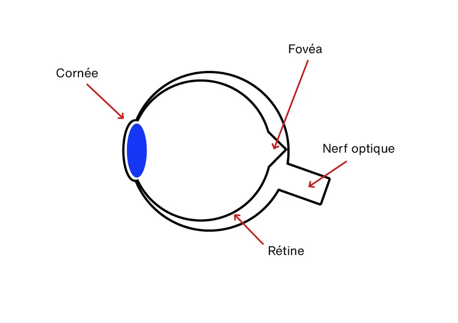 articleaccessibilite-fixation14
